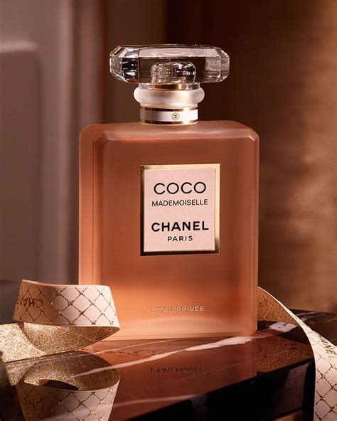 coco chanel dernier jour derniere nuit|coco mademoiselle chanel.